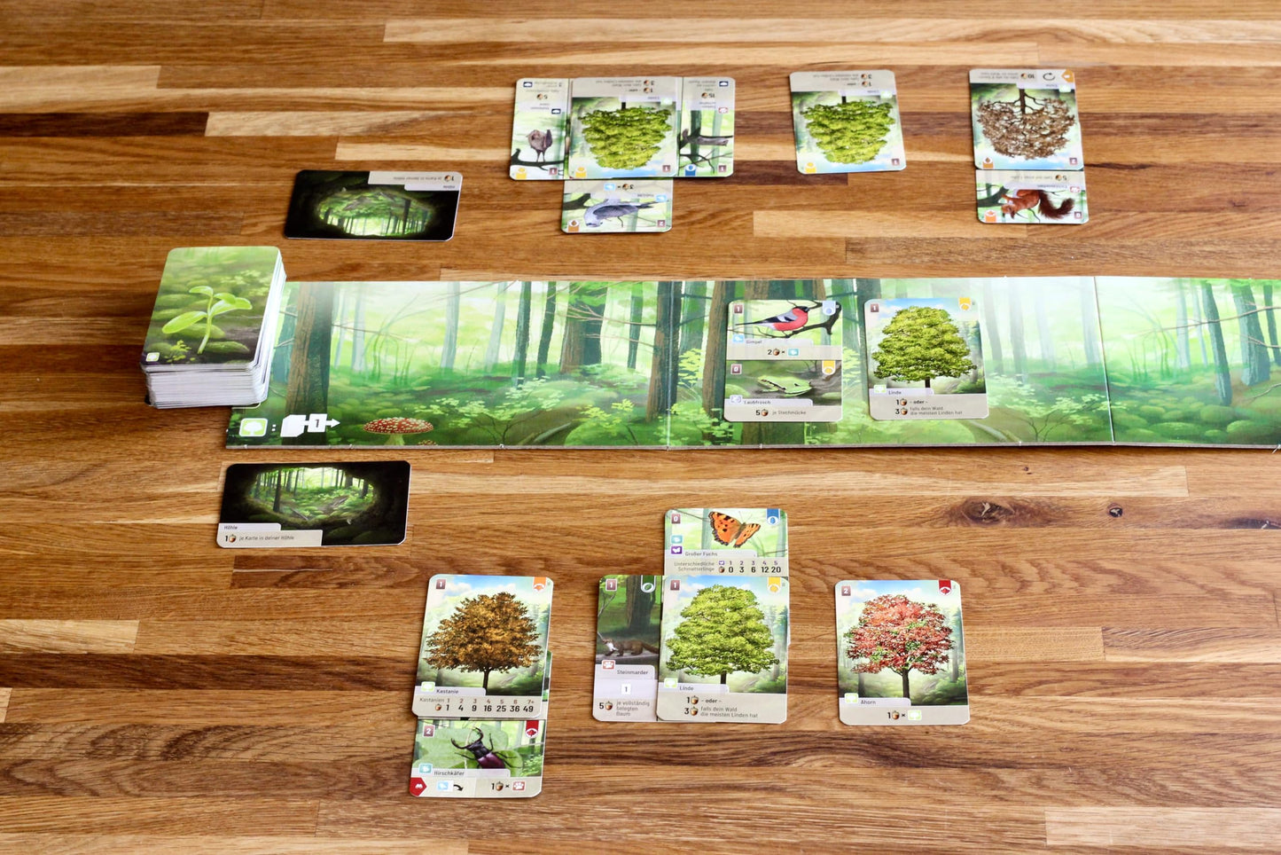 Lookout Games Forest Shuffle Card Game - Create an Ecological Paradise! Clever Strategy Game for Kids & Adults, Ages 10+, 2-5 Players, 60 Min