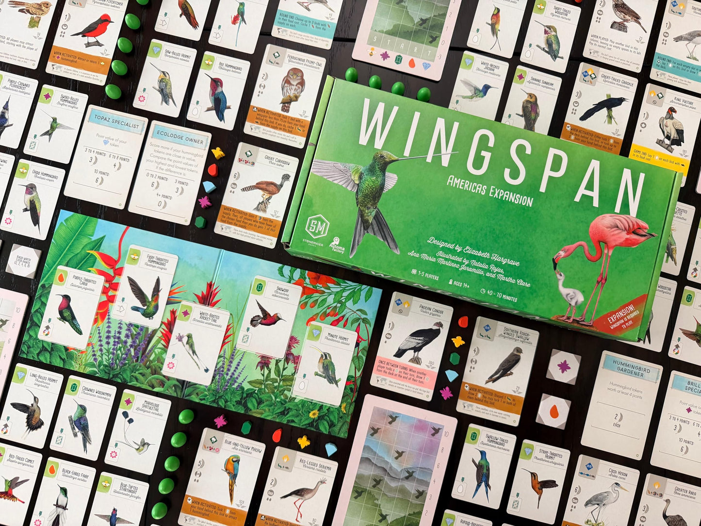 Stonemaier Games: Wingspan Americas Expansion by Elizabeth Hargrave | Add to Wingspan | Includes Small Hummingbird Cards with New Mechanism, 111