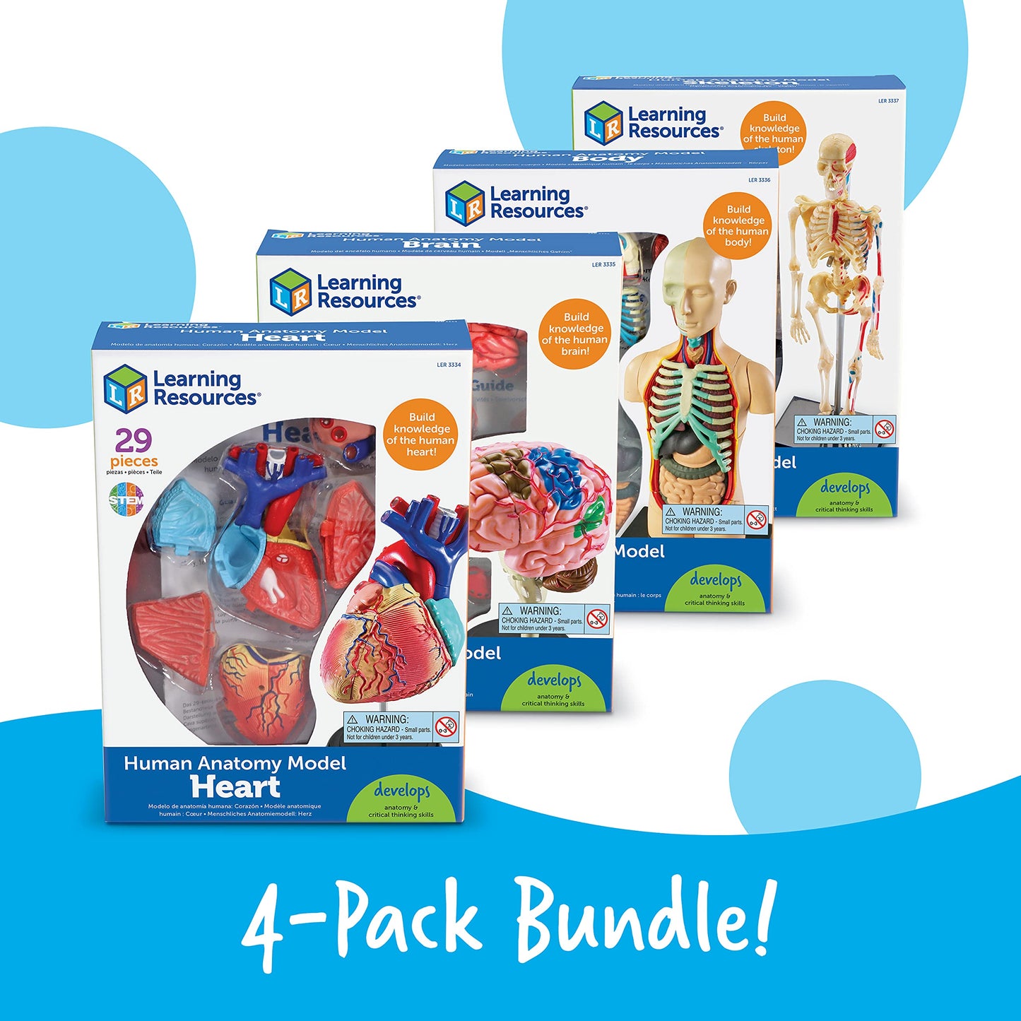 Learning Resources Anatomy Models Bundle Set - Skeleton and Physiology, Human Body Model , Science Classroom Must Haves, Biology Teacher Supplies