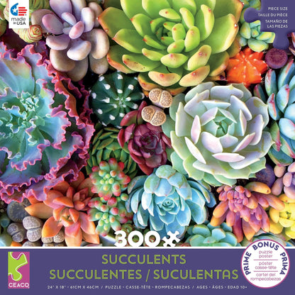 Succulents - Succulent Synergy Puzzle - 300 Pieces