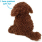 TigerHart Laurel The Labradoodle - 12 Inch Stuffed Animal Plush