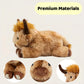 Wuehuds 5Lbs Weighted Highland Cow Stuffed Animal, 22×14×12 Inch Plush Toy Pillow, Adorable Weighted Stuffed Animal for Kids & Adults, for Christmas