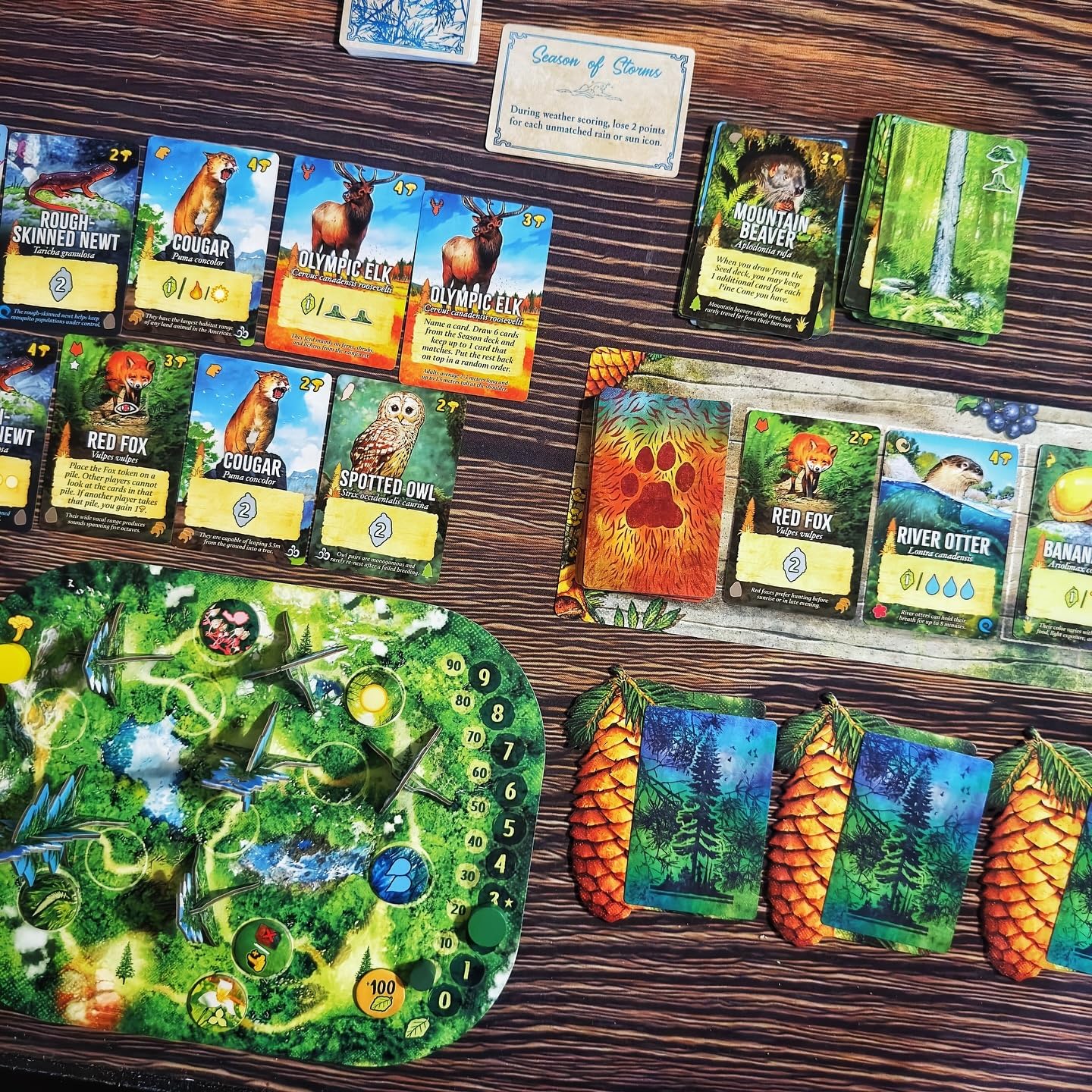 Weird City Games Canopy Evergreen - Strategy Board Game - for 1 to 4 Players and Ages 10+