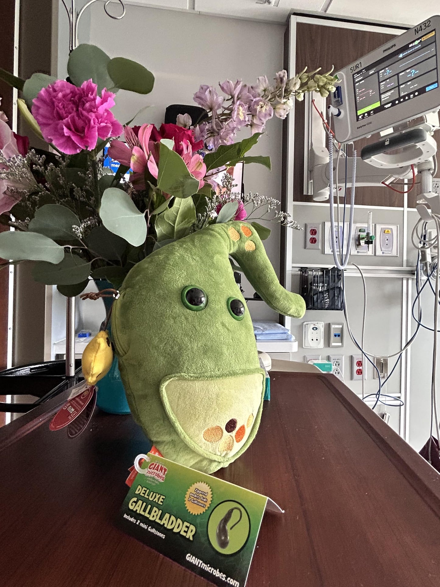 GIANT MICROBES Deluxe 14" Gallbladder Plush with Gallstones, Gallbladder Surgery Recovery Items, Post-Gallbladder Surgery Must Haves, Anatomy Gifts
