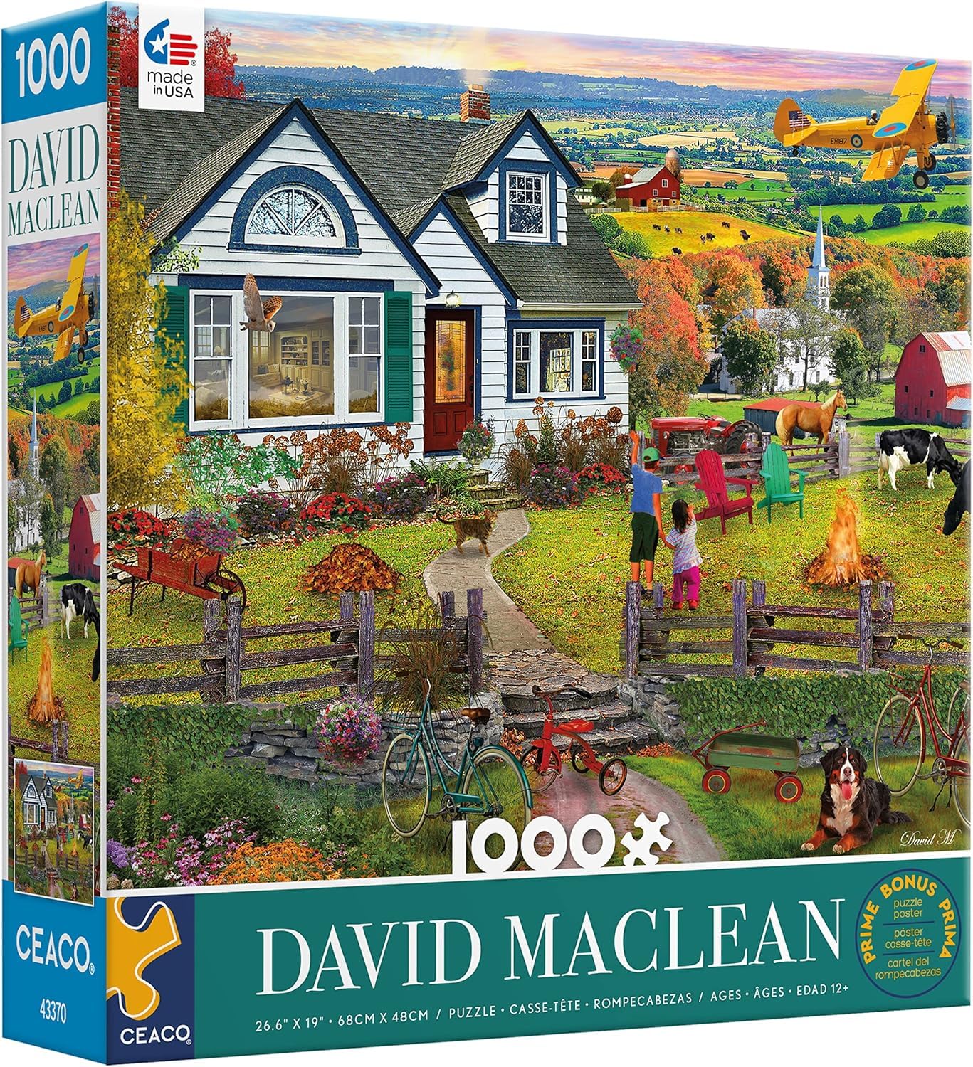 Ceaco - David MacLean - The Fly by - 1000 Piece Jigsaw Puzzle