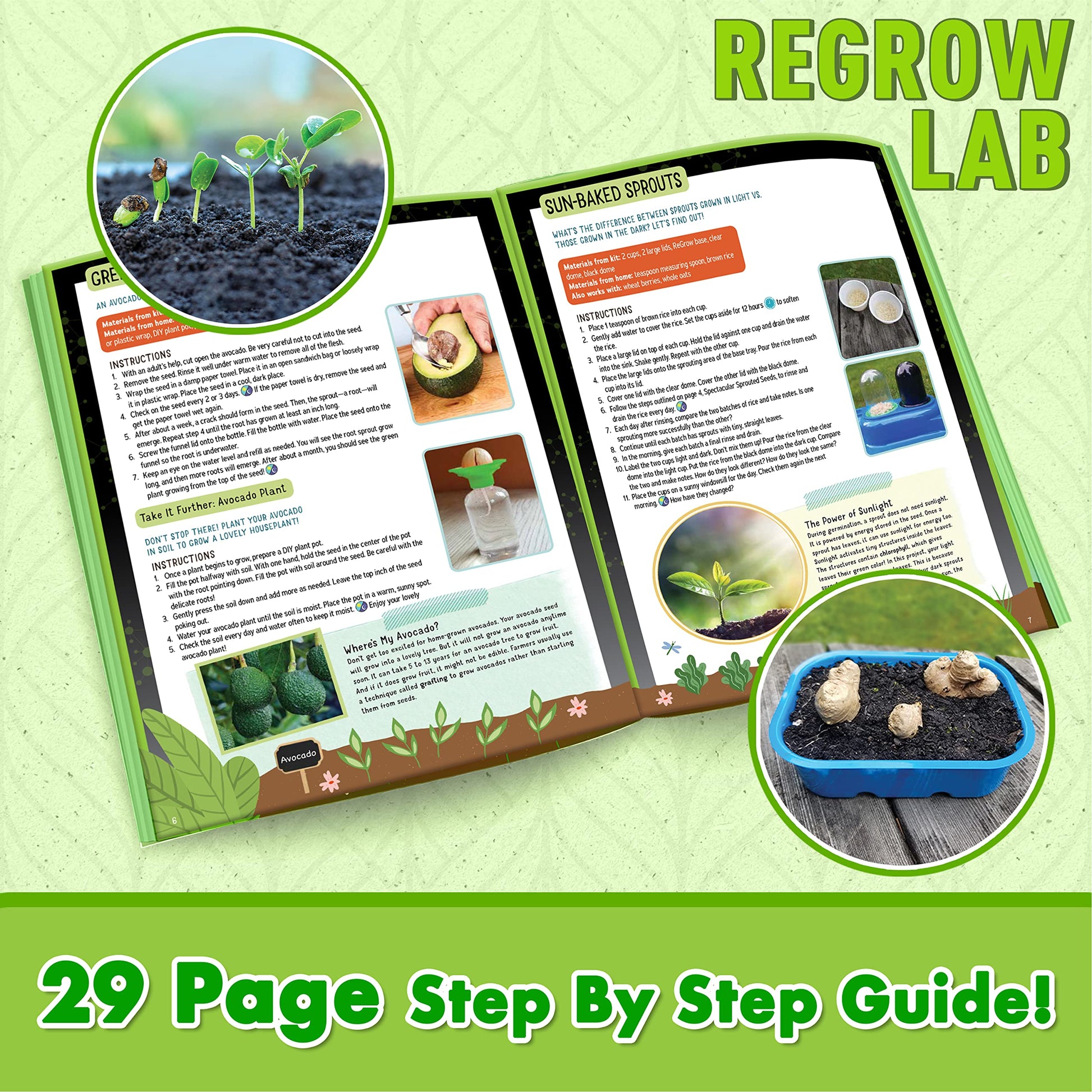 ReGrow Science Kit for Kids 8+ - Replant Simple Ingredients to Generate New Plants! 15+ Experiments - 12 Tools Included - Growing Kits for Kids Boys