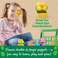 Learning Resources Growing Greenhouse Color & Number Playset - 12 Pieces, Ages 18 Months +, Preschool Activities, Toddler Montessori Toys, Gifts
