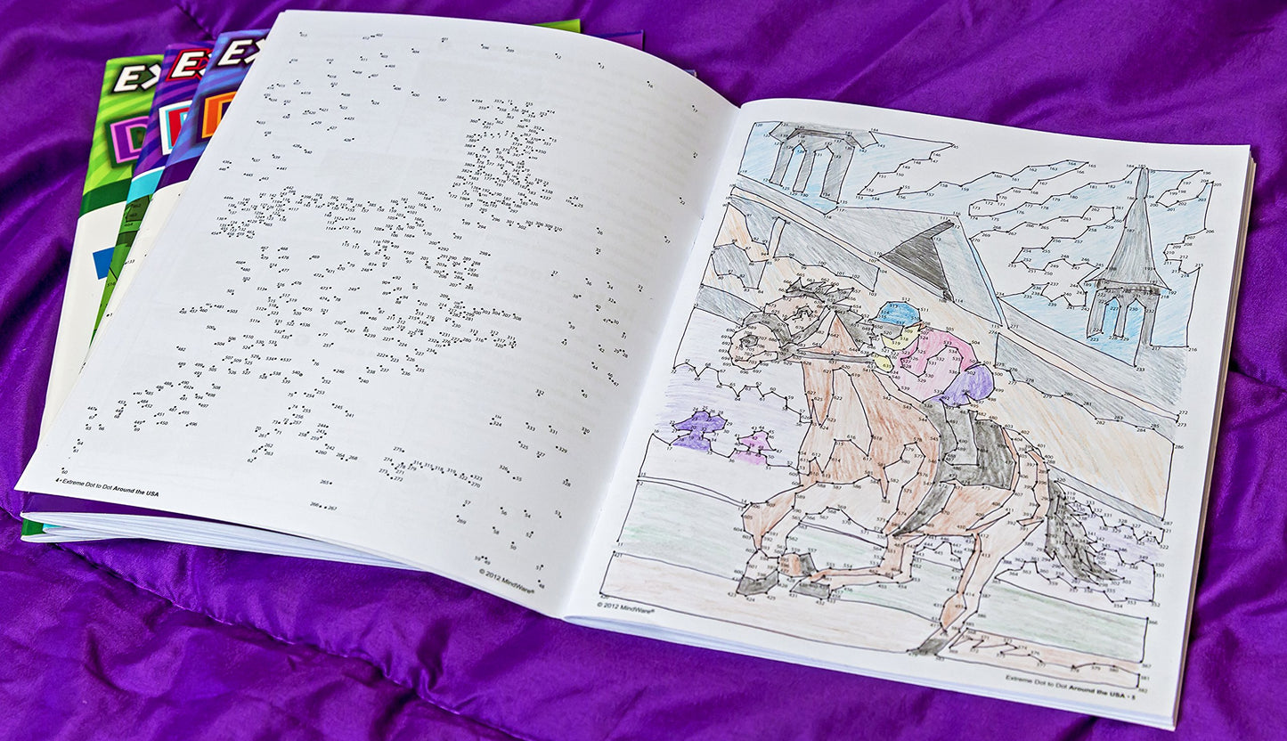 Extreme Dot to Dot Around The USA Puzzle