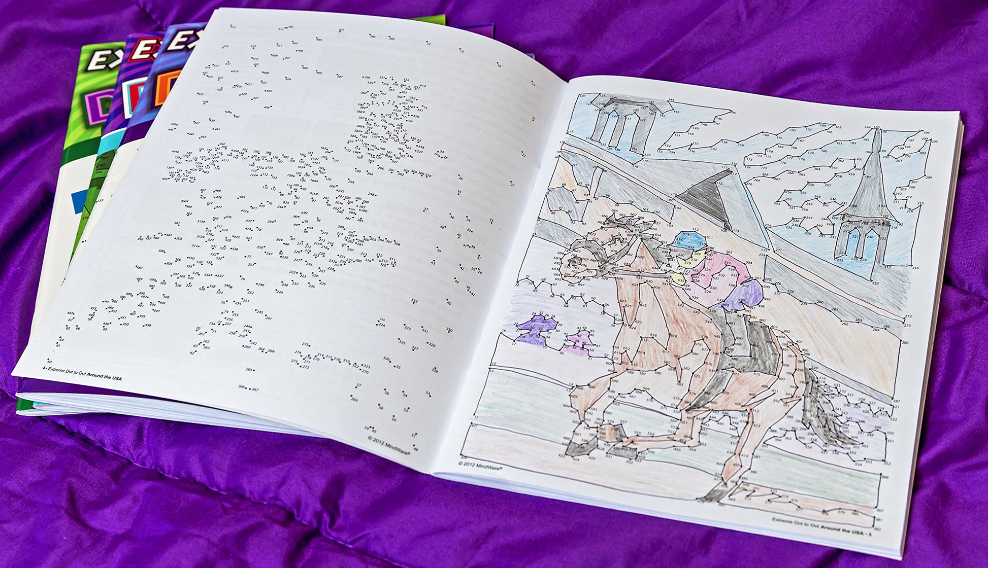 Extreme Dot to Dot Around The USA Puzzle