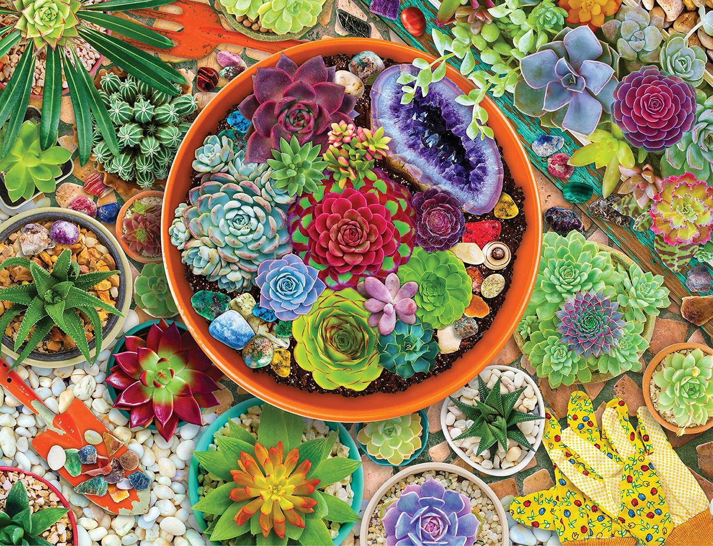 Springbok's 1000 Piece Jigsaw Puzzle Succulent Garden - Made in USA