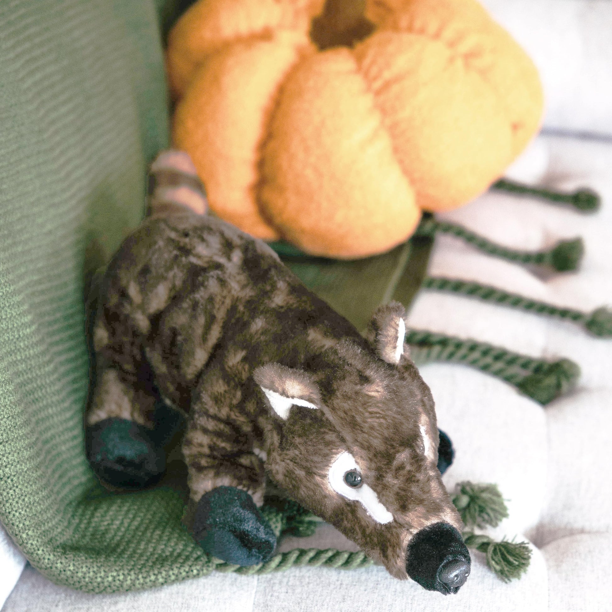 The Petting Zoo Coatimundi Stuffed Animal Plushie, Gifts for Kids, Wild Onez Zoo Animals, Zoologee Coatimundi Plush Toy 12 inches
