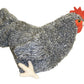 Adore 12" Standing Roxy the Hen Chicken Plush Stuffed Animal Toy