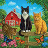 Springbok Farm Cats 500 Piece Jigsaw Puzzle for Adults & Family - Poster Now Included - Country Farm Art, Playful Cats Illustration - Unique Cut