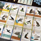 Stonemaier Games: Wingspan Fan-Designed Bird Promo Packs | 150 New Birds Designed by Fans Using Powers from Base Game & Expansions | Art Consistent