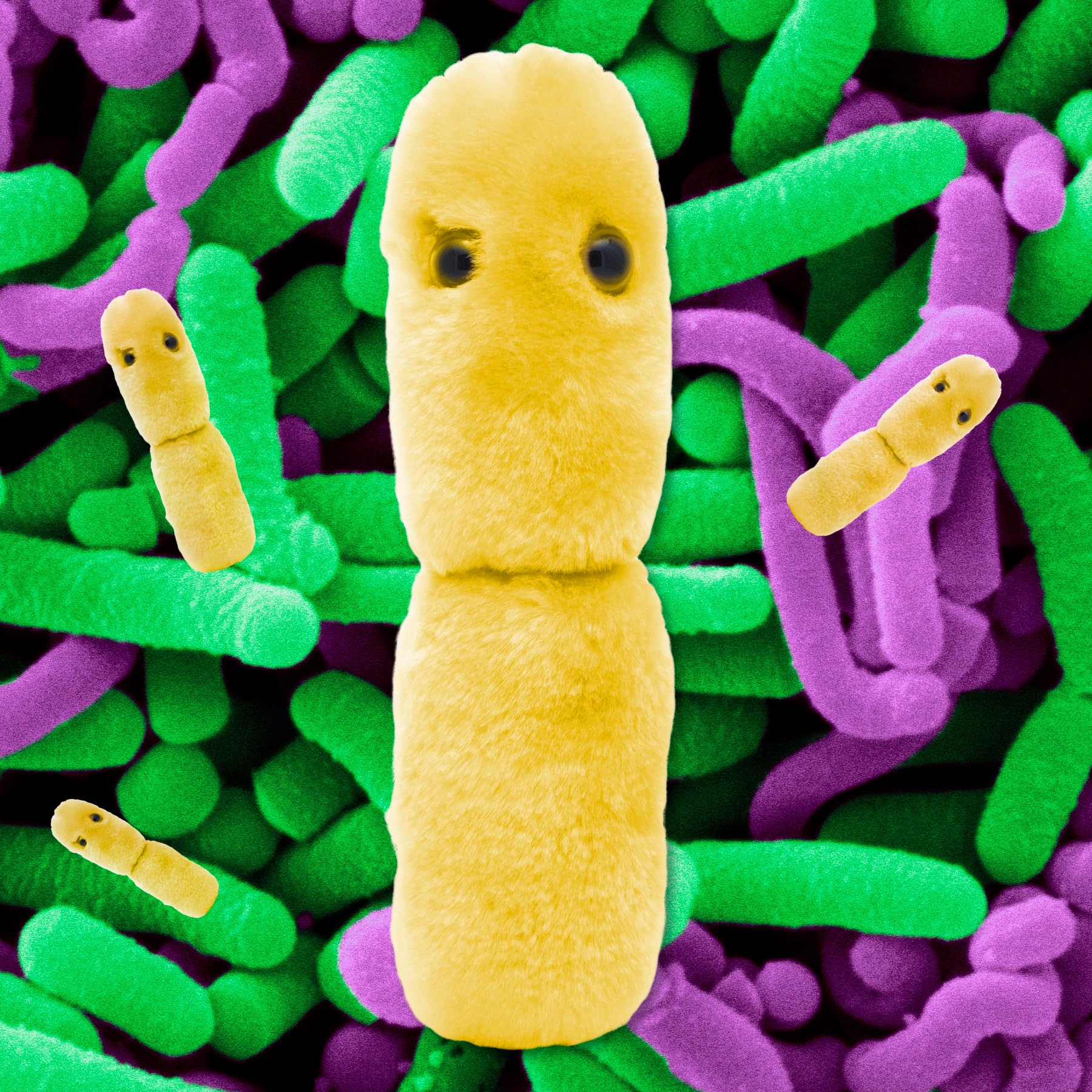 GIANTmicrobes Acidophilus Plush - Learn About Probiotics and The Gut Microbiome with This Educational Gift for Doctors, Students, Biologists
