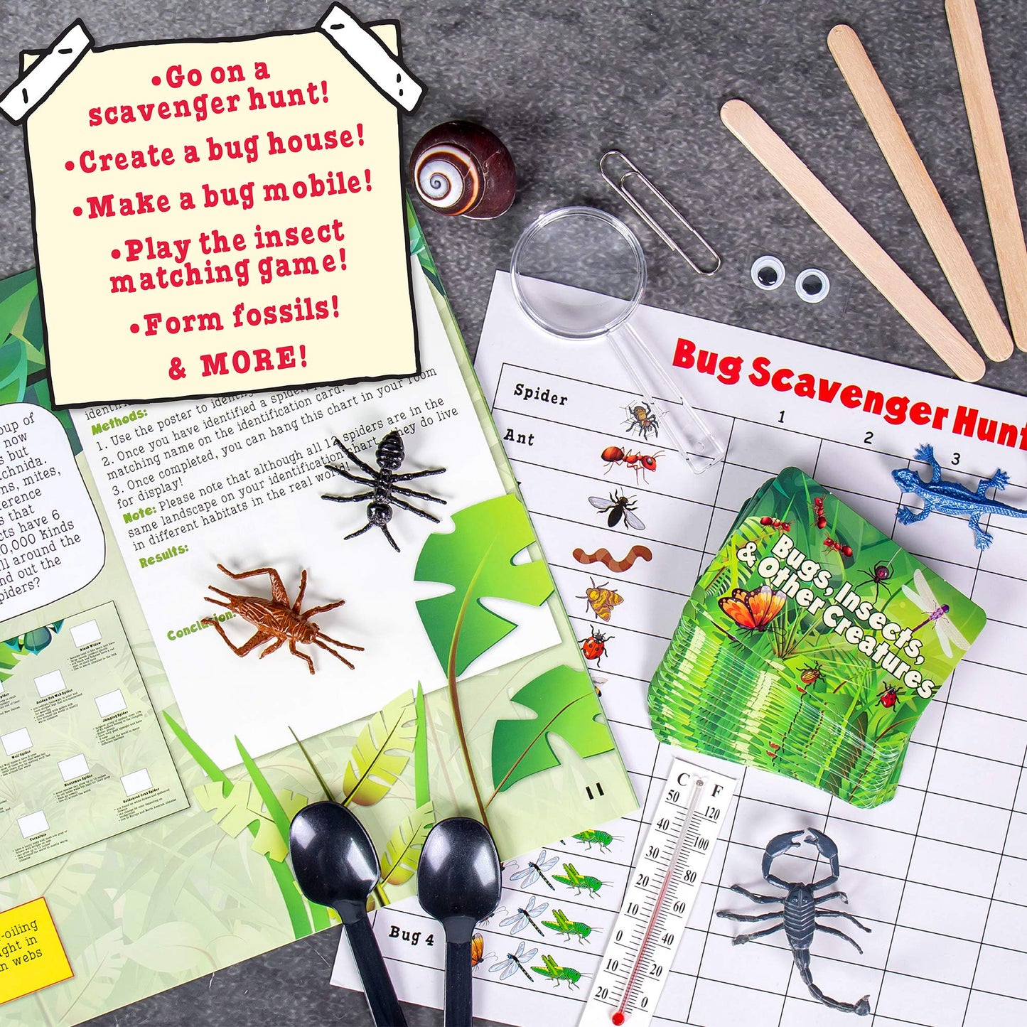 The Magic School Bus Exploring Bugs, Insects & Creatures, at-Home STEM Kits for Kids Age 5 and Up, Insect Kits for Young Scientists, DIY Bug House