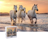 Horse Puzzle or Horse Puzzles for Adults 1000 Piece Horses Puzzle Frame with Fun Fact Poster & Reference Poster, Large Puzzle Galloping Horses on