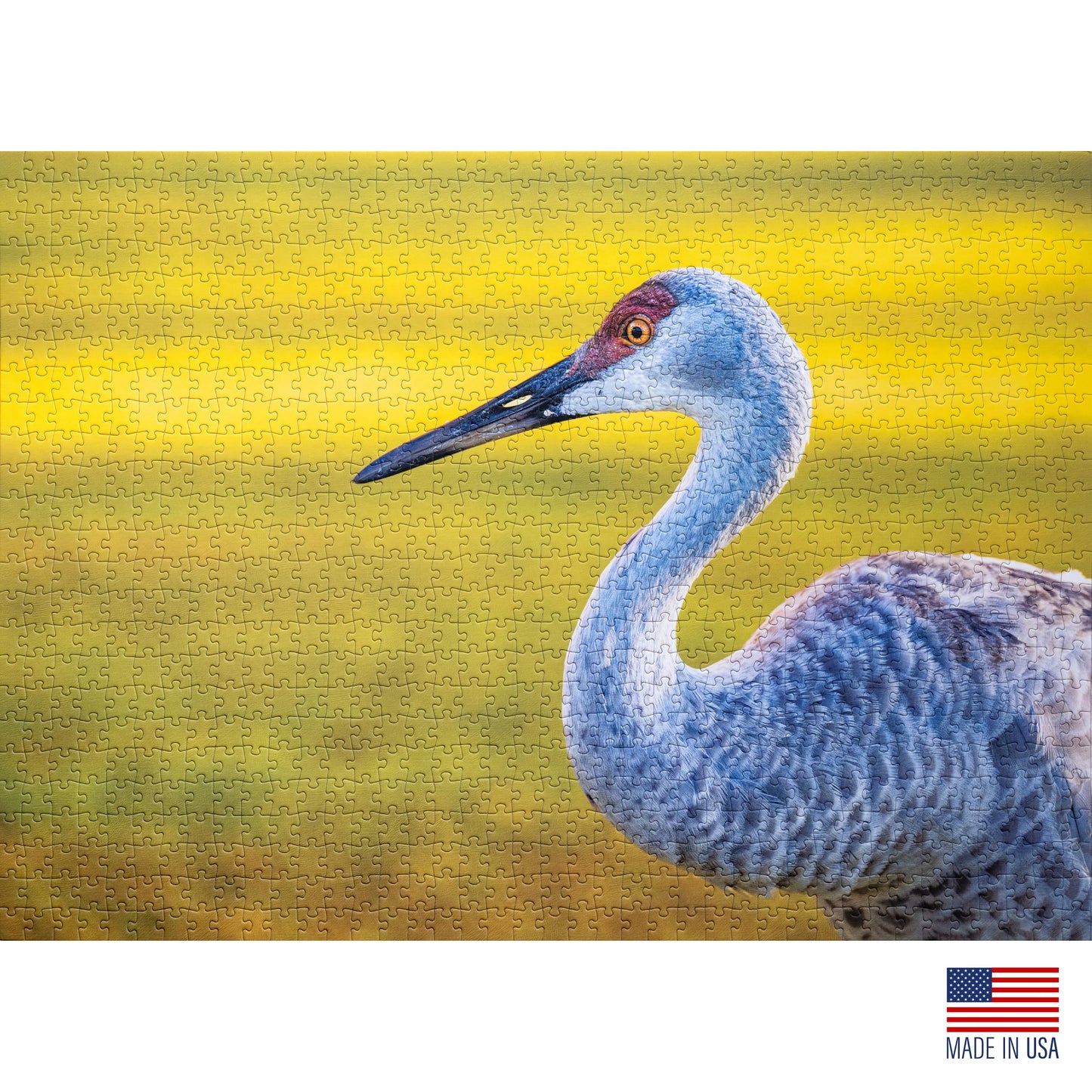 Aether Puzzles - The Sandhill Crane, Premium 1000 Piece Jigsaw Puzzle for Adults, Glare-Free, Soft-Touch Puzzles, Made in USA, Puzzle Lovers Gift