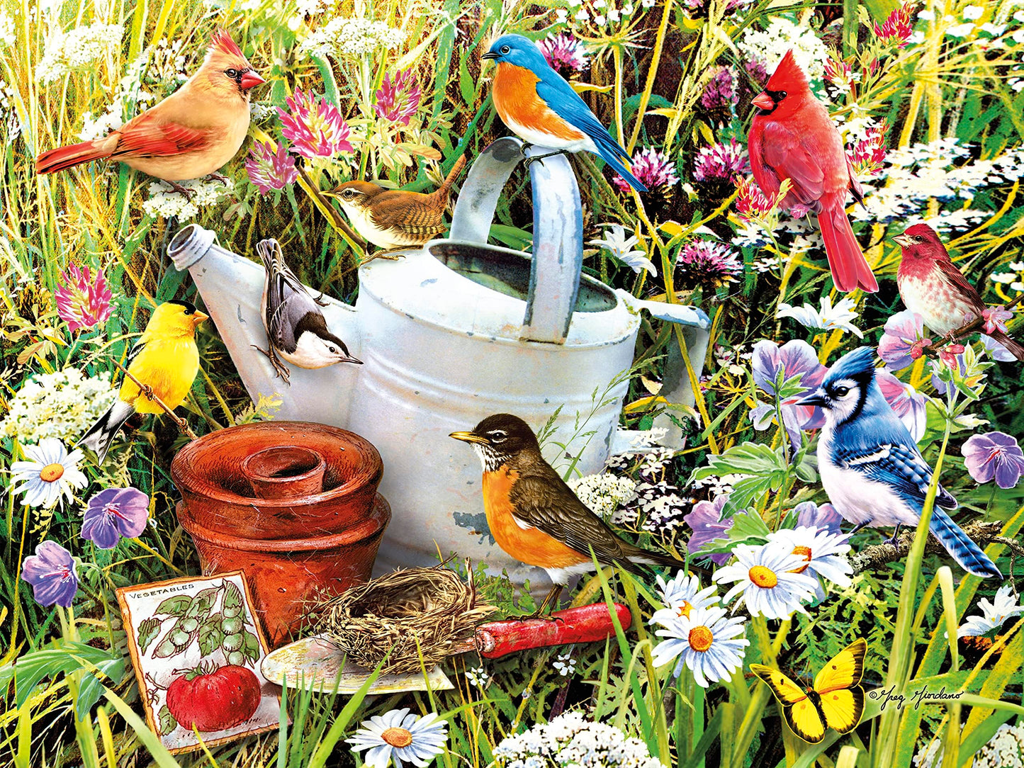 Ceaco - Garden Birds - 500 Piece Jigsaw Puzzle for Adults