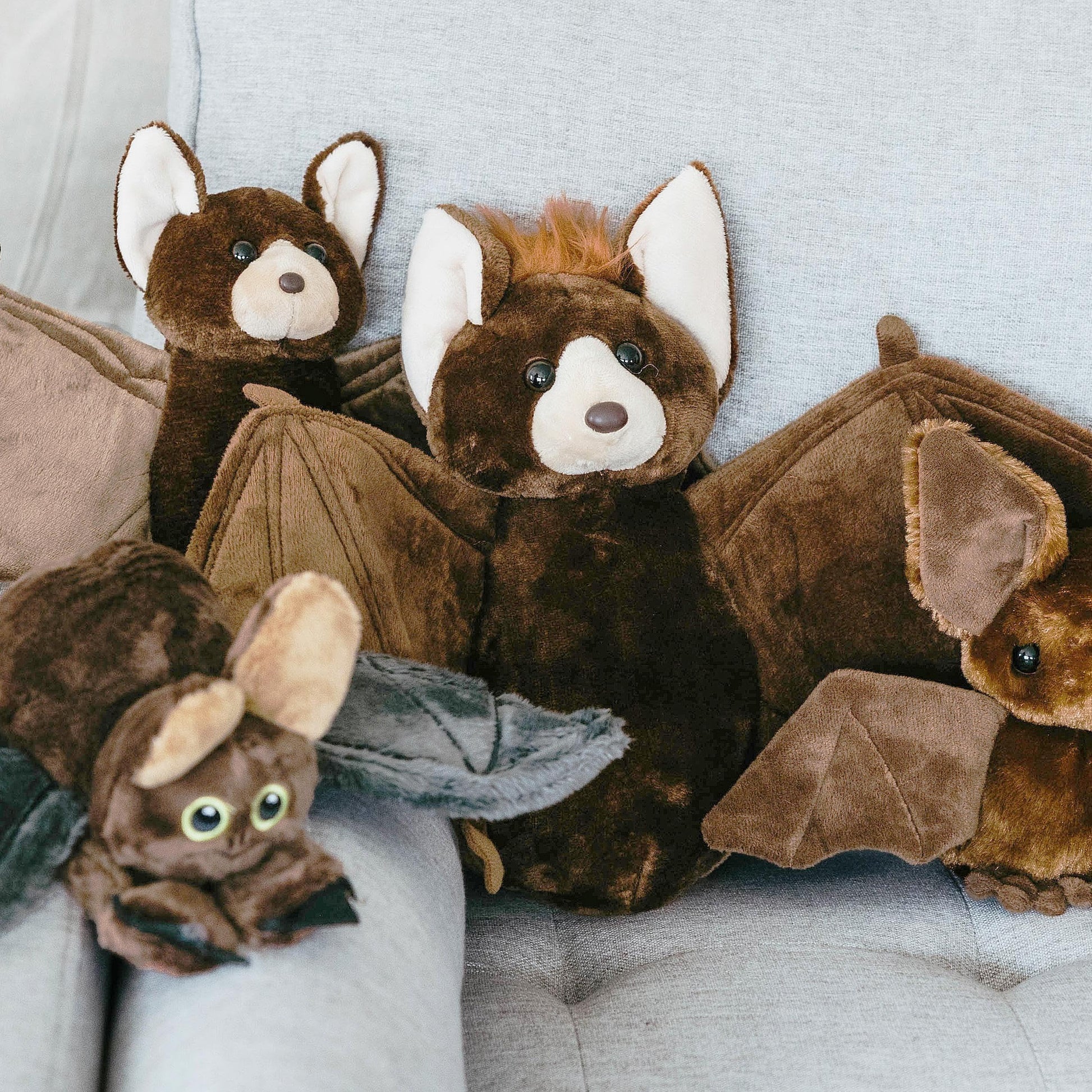 The Petting Zoo Bat Stuffed Animal Plushie, Gifts for Kids, Wild Onez Zoo Animals, Bat Plush Toy 12 Inches