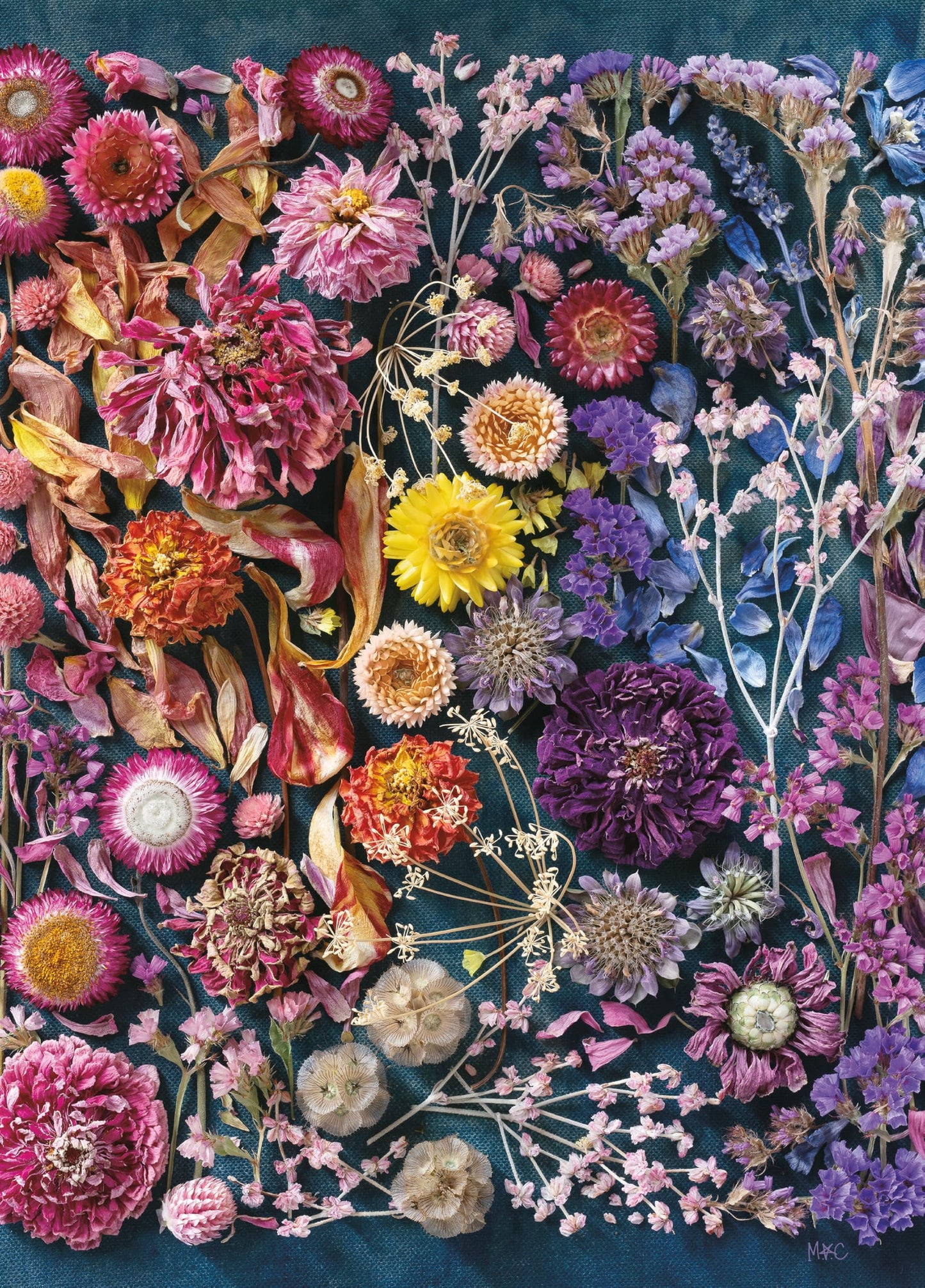 Ceaco - Beauty with Age - 1000 Piece Jigsaw Puzzle for Adults
