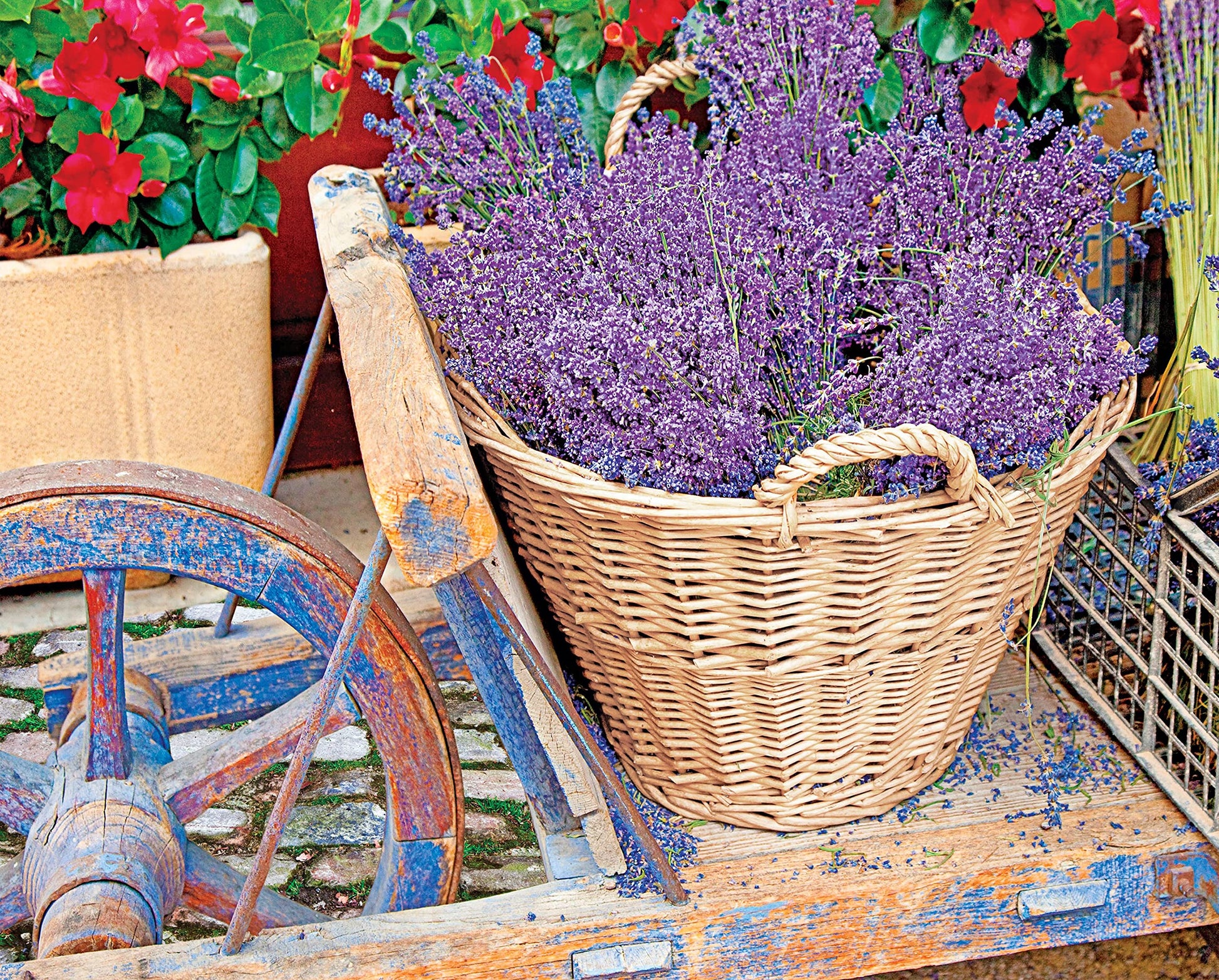 Springbok's 1000 Piece Jigsaw Puzzle Basket of Lavender - Made in USA