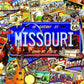 SUNSOUT INC - Missouri: The Show Me State - 1000 pc Jigsaw Puzzle by Artist: Kate Ward Thacker - Finished Size 20" x 27" - MPN# 70038
