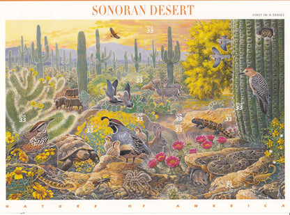 Postage Stamp US Scott 3293 Sonoran Desert Full Sheet of Ten 33 Cent Stamps
