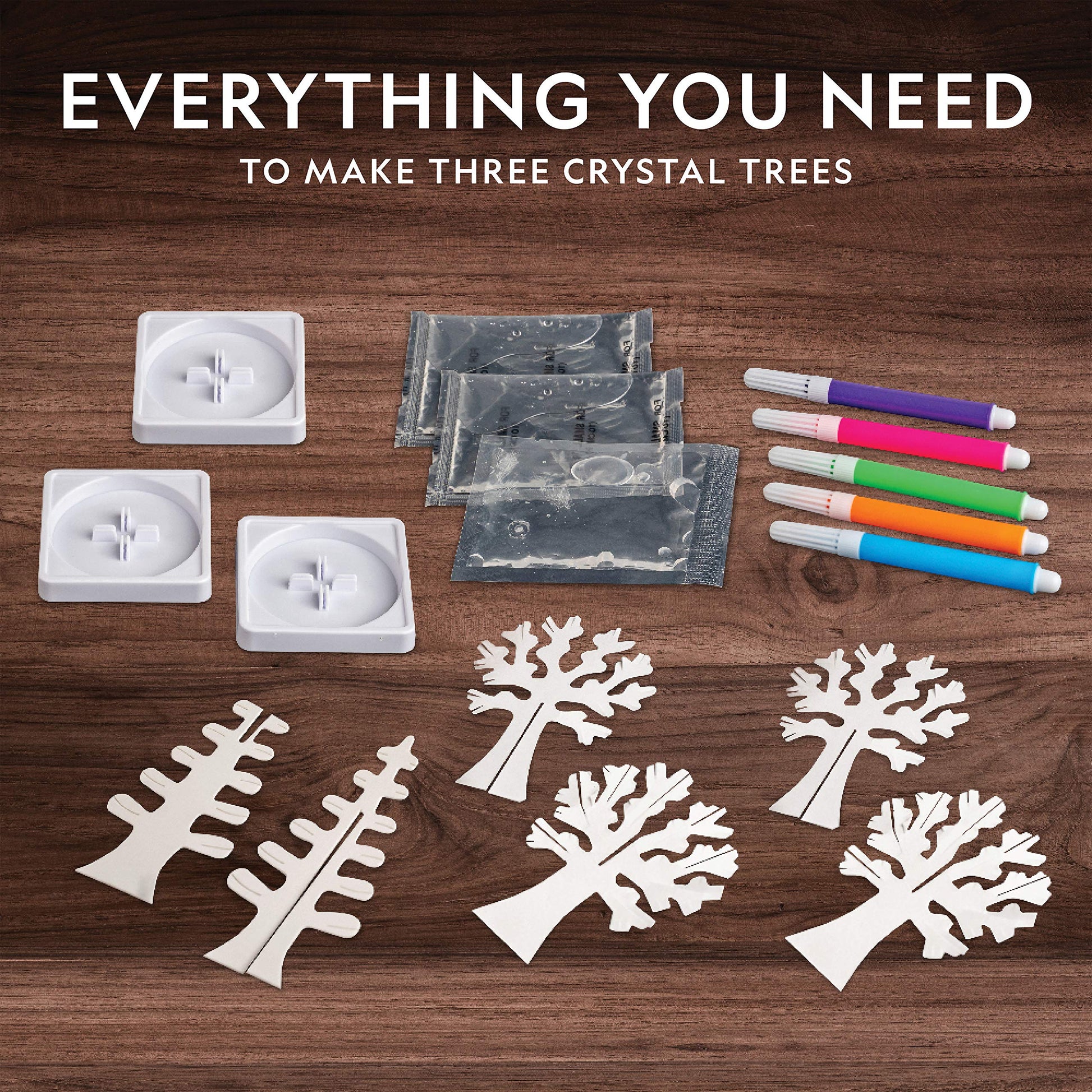 National Geographic Crystal Growing Craft Kit to Create a Crystal Garden