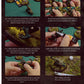 Gamers Grass: Battle Ready Bases: Highland 50mm Round (x3)