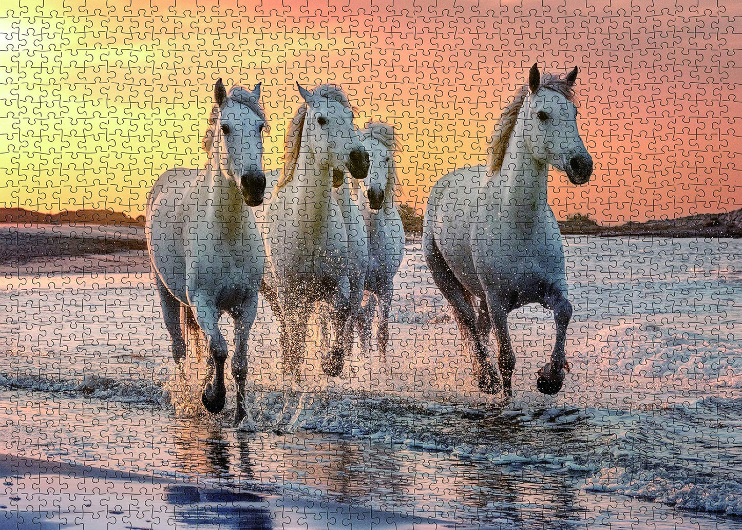Horse Puzzle or Horse Puzzles for Adults 1000 Piece Horses Puzzle Frame with Fun Fact Poster & Reference Poster, Large Puzzle Galloping Horses on