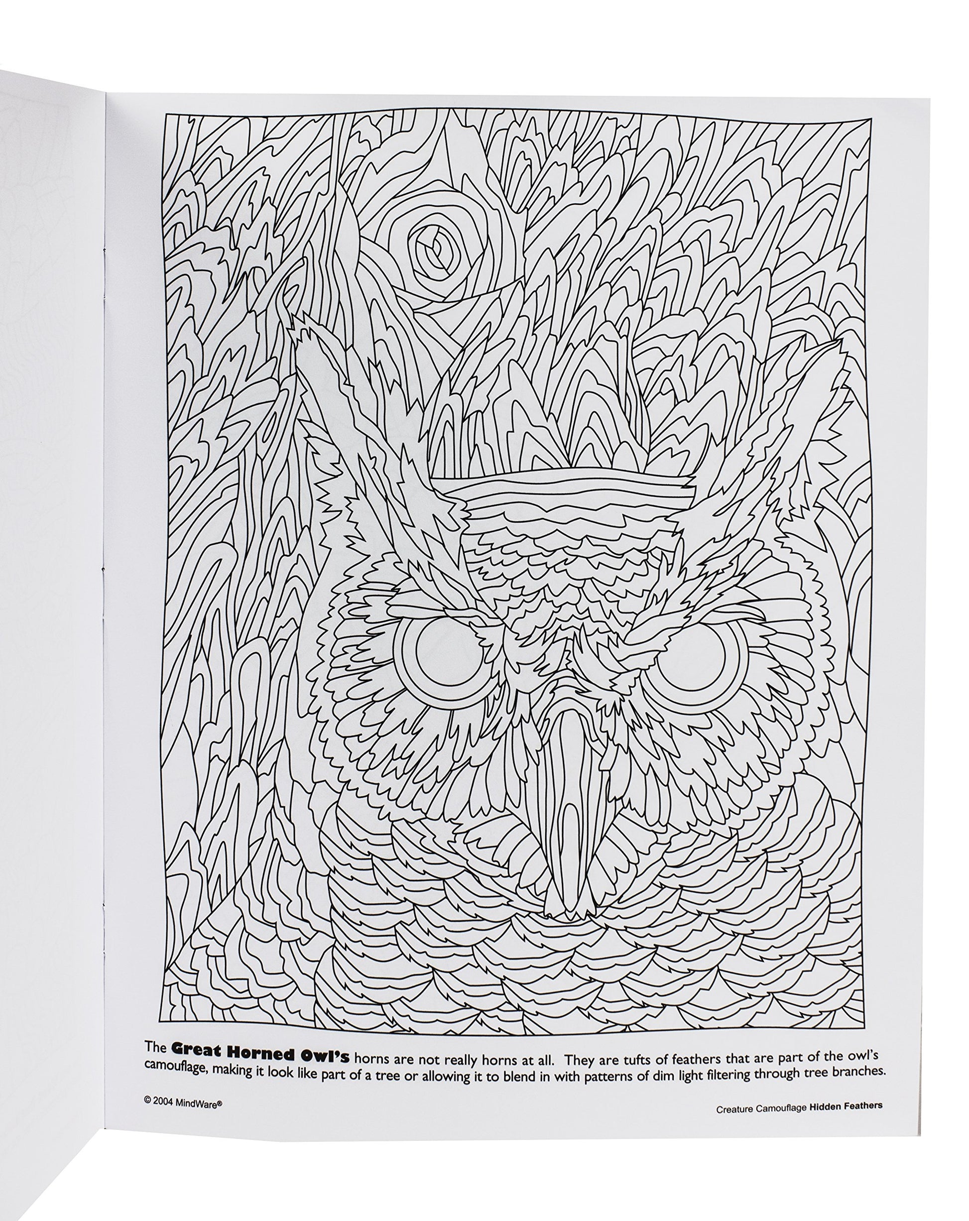 Mindware Hidden Feathers: Creature Camouflage