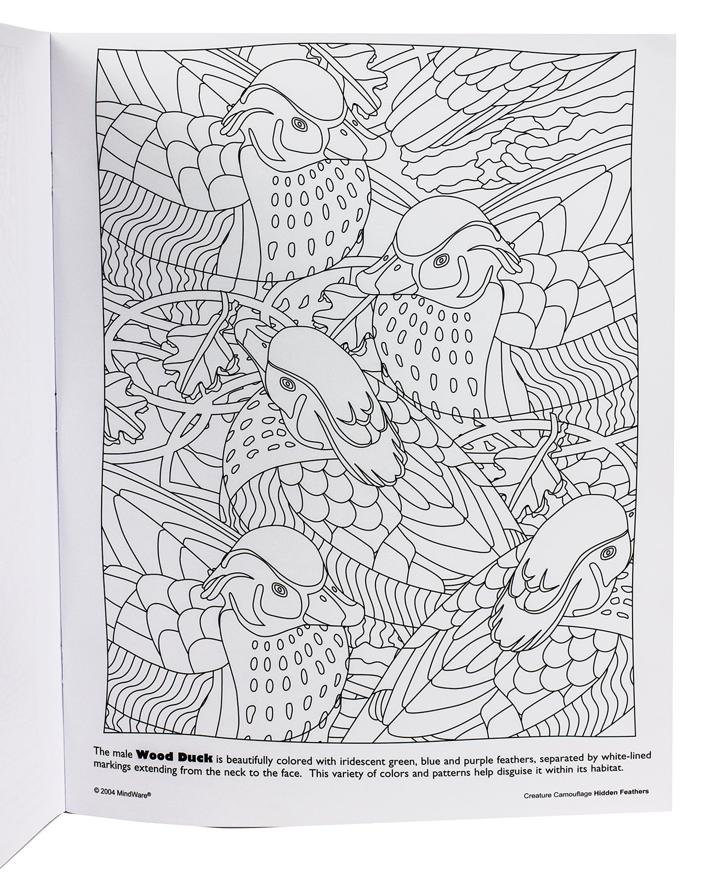 Mindware Hidden Feathers: Creature Camouflage