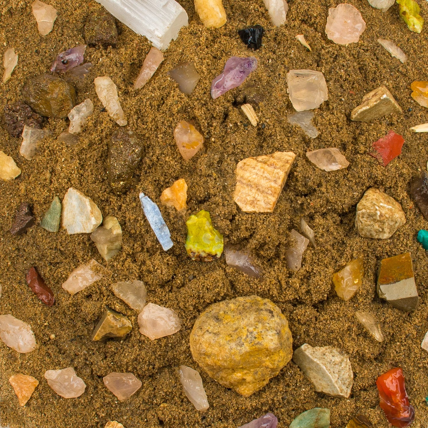 Boone's Mill Gemstone Paydirt | 5 Pounds | Gem Mining Rough Stone Mix | Rock Fossil ID Guide
