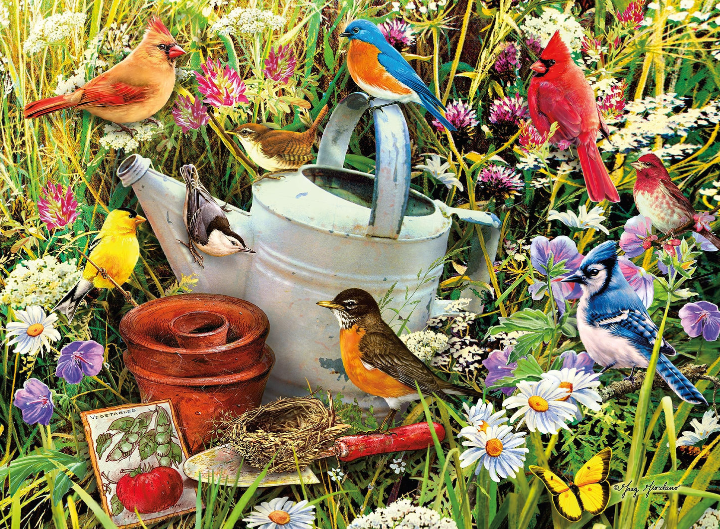 Ceaco - Garden Birds - 300 Large Piece Jigsaw Puzzle for Adults